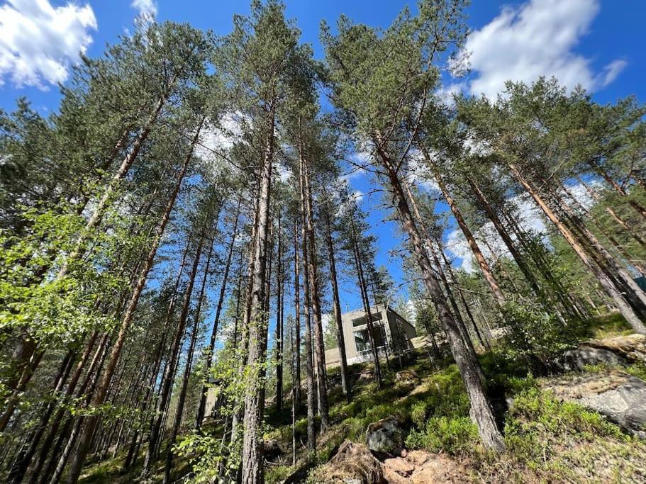 Tretoppen - Ny Moderne Hytte, Unike Finnskogen Torsby Exterior foto