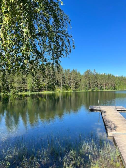 Tretoppen - Ny Moderne Hytte, Unike Finnskogen Torsby Exterior foto