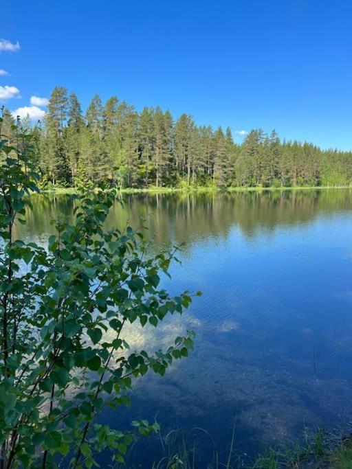 Tretoppen - Ny Moderne Hytte, Unike Finnskogen Torsby Exterior foto
